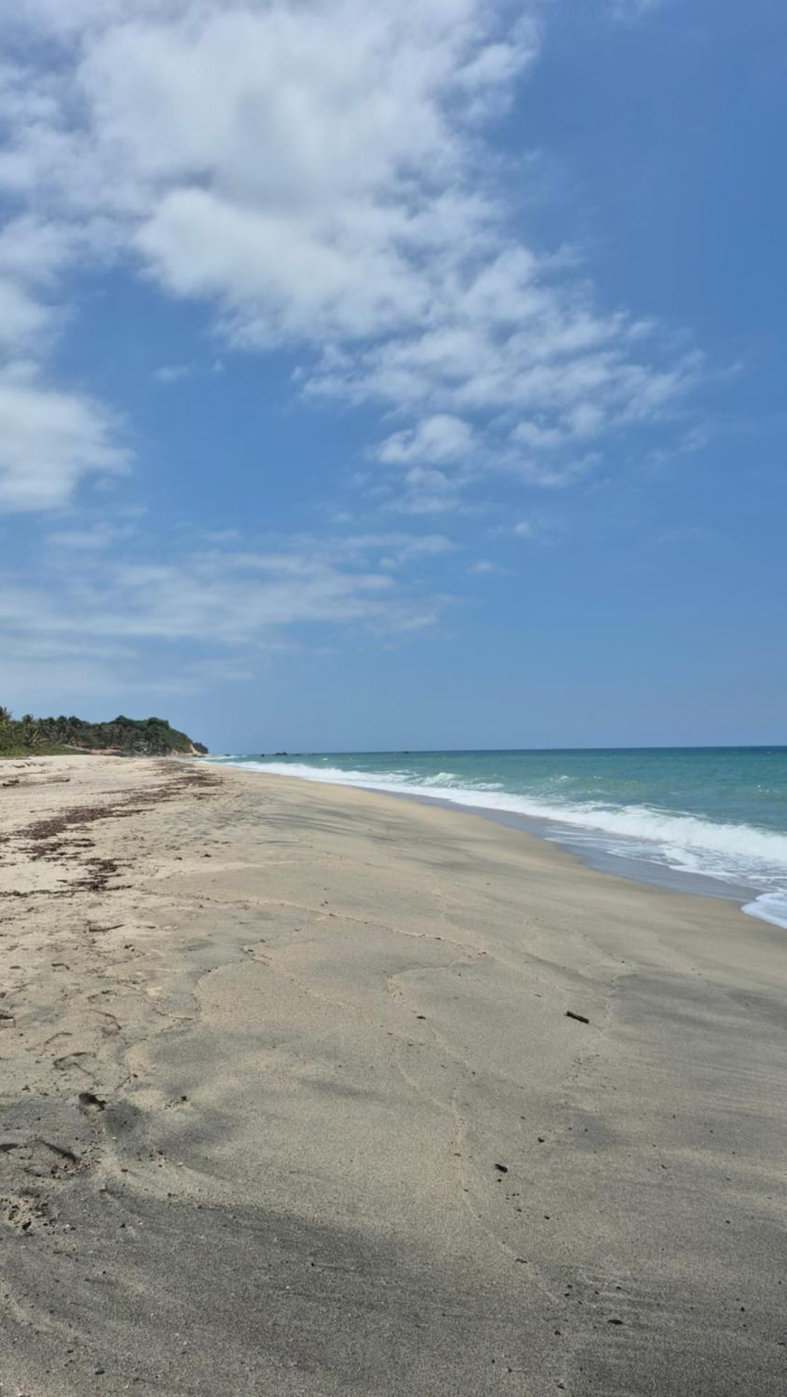 Bob Marley Beach Guachaca Eksteriør billede