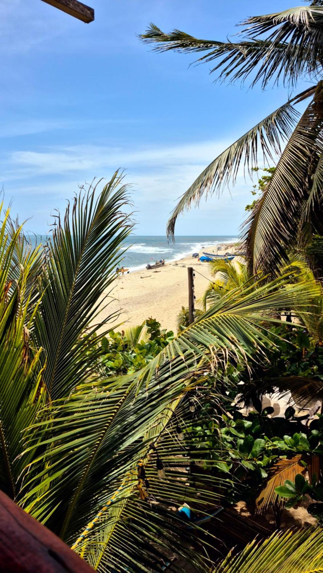 Bob Marley Beach Guachaca Eksteriør billede